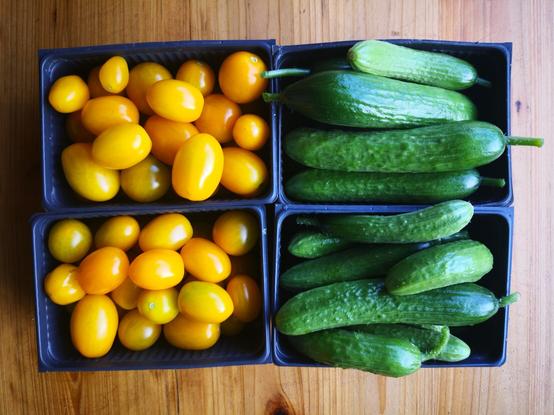 Je 2 Schalen mit Gurken und Tomaten.