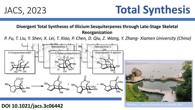 Picture showing the title (Divergent Total Syntheses of Illicium Sesquiterpenes through Late-Stage Skeletal Reorganization) and the authors ( P. Fu, T. Liu, Y. Shen, X. Lei, T. Xiao, P. Chen, D. Qiu, Z. Wang, Y. Zhang- Xiamen University (China)) of this publication together with a scenic picture of Xiamen and the grapical abstract from JACS.