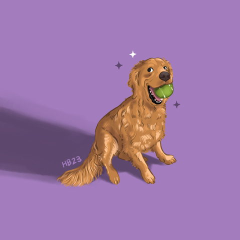 An illustration of Lucy, the golden retriever, holding a green ball in her mouth and smiling off to the left of the artwork!