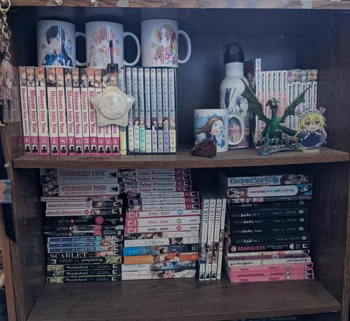 Top Bloom into You & Dragon Maid manga and LN. Along with about half of my Yaga Kimi merch.

Bottom Misc. Usually hidden by a Yaga Kimi tapestry. But included anthologies and Kowabana books.