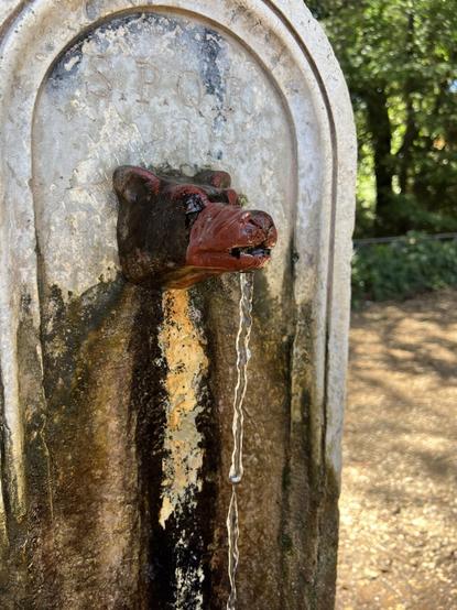 A wolve head shaped water tap of a public fontain at Villa Pamphilj in Rome, Italy. Water is flowing out from below the tap continuously. It is mounted on a stone column with an curved top. Over the tap you can see the letters “S.P.Q.R.”. In the background are some trees.