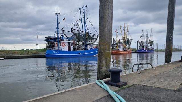 Kutterhafen obereversand Dorum