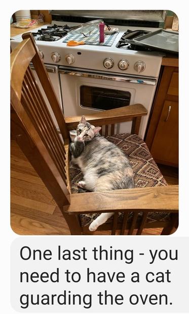 Photo of a chubby cat in a chair, which is set in front of a stove. The text reads, "One last thing - you need to have a cat guarding the oven."