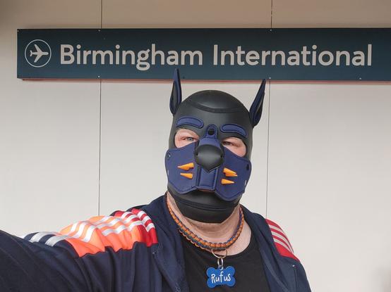 human pup standing in front of station sign "Birmingham International"