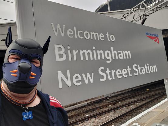 human pup standing next to station sign "Welcome to Birmingham New Street Station"