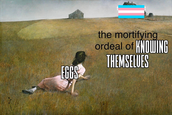 Meme. A femme lays in a field looking yearning across a great distance of rolling grass at a farmhouse. The femme is labeled "eggs", the field "the mortifying ordeal of knowing themselves", and the farmhouse covered by a trans flag