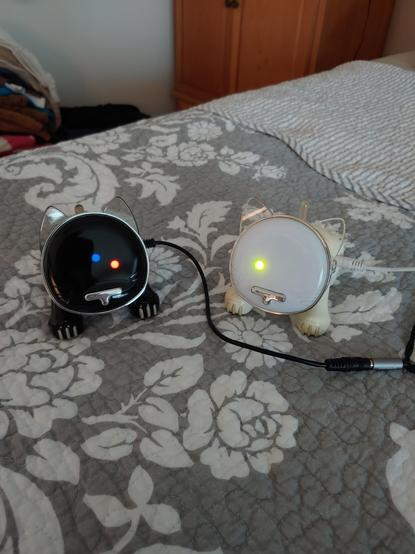 A black and white iCat are enjoying some music via their auxiliary ports. Cables can be seen from both of their left (our right) sides. The black iCat is on our left, white on our right.

On the black one, two LEDs are lit on its face in a short diagonal line from the center out. The center one is blue, and the one on the bottom-right of its face is red.

On the white iCat, one green LED is lit on the bottom-left of its face.