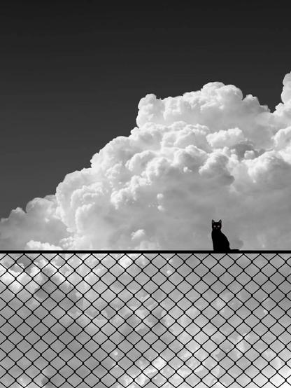 un petit chat noir sur une balustrade, devant un énorme nuage blanc