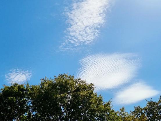 Flirrige, flusige Wolkenfelder im blauen Himmel....Cirrocumuli ...