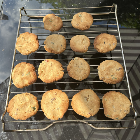 Closeup from above of 14 cookies I baked for friends. It's made with a vegan almond 'dough' and I mixed candied fruit peel through it. They should be fine but there weren't enough for me to have one as a test cookie.