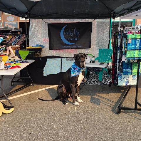 Murdock the Great Dane doing his usual booth modeling at an event we're at. He's sitting in the sun wearing his "Puget Dog" Orca bandana