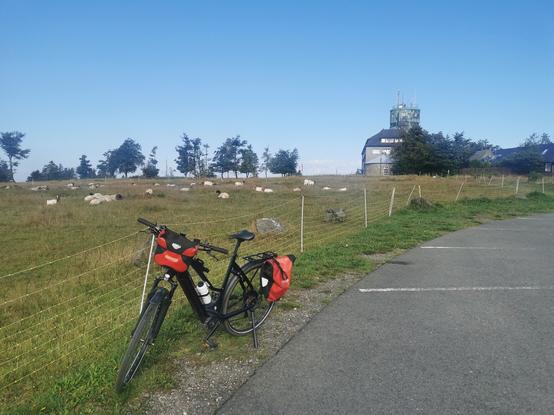 Fahrrad, Zaun, Weide, Schafe. Im Hintergrund der Astenturm.