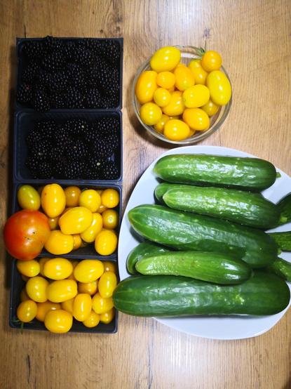 Tomaten, Brombeeren und Gurken in einer Schale.