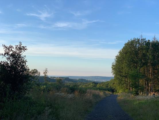 Ein Weg zwischen Wiesen, der am Waldrand entlang führt. Im Hintergrund ist blauer Himmel mit Wolken zu sehen und weiter entfernt eine Hügelkette