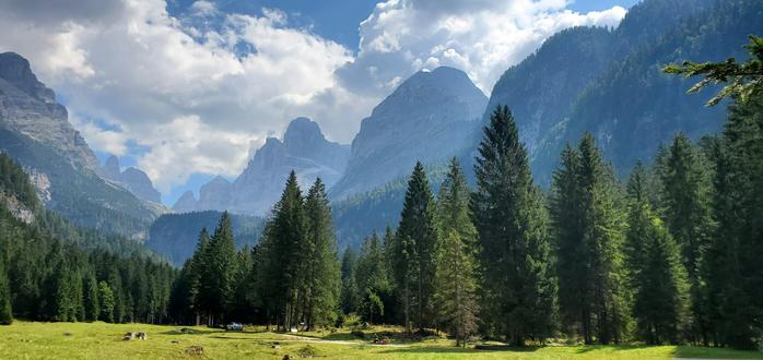 Une grande clairière bordée de sapins et en arriere plan les silhouettes massives des Dolomites