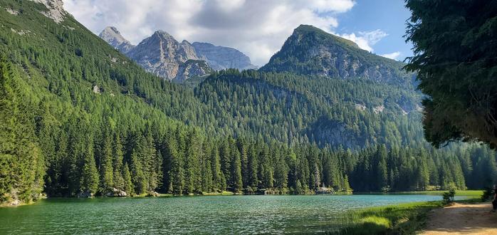 Un lac vert, sauvage, bordé de forêt d'épinard et surplombé par des montagnes