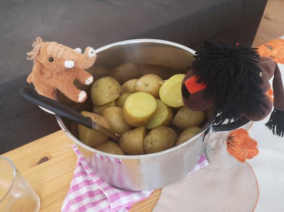 Manni und Afrolöwe auf dem Rand des Topfes mit Pellkartoffeln, mit Küchenmesser