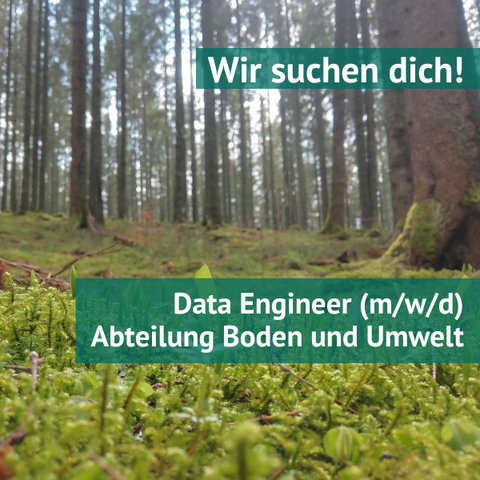 Nadelwald mit Fokus auf den Waldboden. Auf dem Bild steht: Wir suchen dich! Data Engineer (m/w/d) Abteilung Boden und Umwelt.