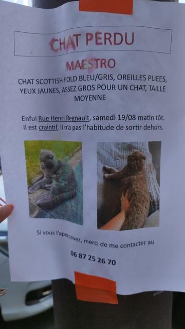 Photo d'une affiche chat perdu :
Maestro chat scottish fold bleu/gris, oreilles pliées, yeux jaunes, assez gros pour un chat, taille moyenne.
Enfui rue Henri Regnault, samedi 19/08 matin tôt. Il est craintif n'a pas l'habitude de sortir dehors.
Si vous l'apercevez merci de me contacter au 06 87 25 26 70.