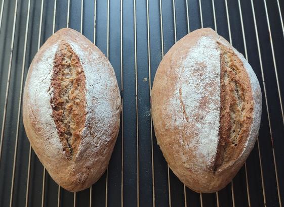 Deux pains de seigle aux graines sur une grille.