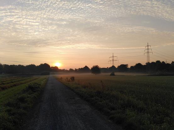 Schäfchen Wolken am blau orangen Himmel, leichter Dunst über den Feldern während über den Bäumen am Horizont die Sonne aufgeht