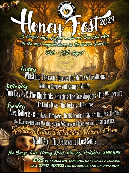 Gig poster, advertising the festival. Too many acts to list, but my solo act Whistling Treason is on there, last on the bill on Friday night.