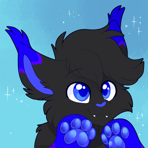 A black and blue cat showing the beans