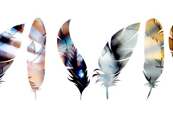 A row of feather shapes on a white background. Each feather has a unique colorful fill.