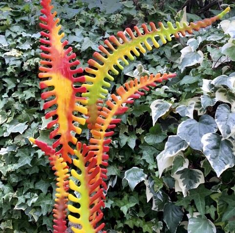 Bellevue Botanical color photo of  glass sculpture of brilliant orange and yellow fern by Marcus Harper