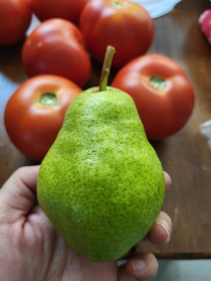 A hand holds up a medium-sized Bartlett pear to the camera. It is well-shaped with no blemishes even though it came off a tree from the yard. In the background, a couple tomatoes sit on a table top.