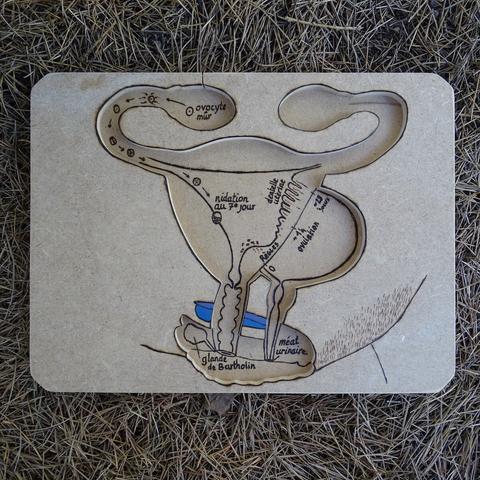 Puzzle sans les pièces. Le fond est brut (couleur beige) avec les détails pyrogravés