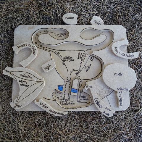 Puzzle avec pièces retournées. Chaque pièce est légendée