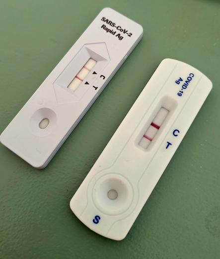 Two SARS-CoV-2 antigen rapid test with a pos. result (two red bands)