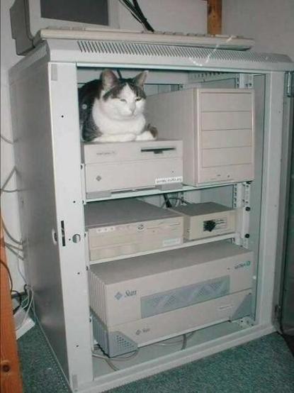 a cat lying on a sparcstation computer inside a rack with several other sun microsystems computers