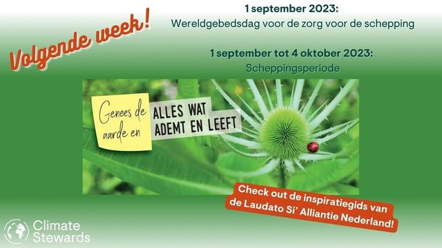 Plaatje van bloem met lieveheersbeestje met tekst: 1 september is het wereldgebedsdag van zorg voor de schepping, 1 september tot 4 oktober is het Scheppingsperiode. Kijk voor inspiratie op website van de Laudato Si' alliantie Nederland