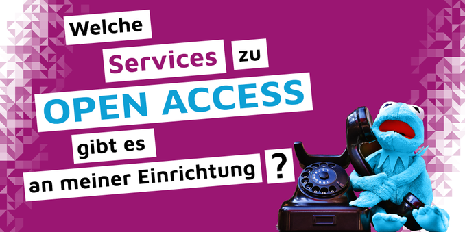 Welche Services zu Open Access gibt es an meiner Einrichtung?