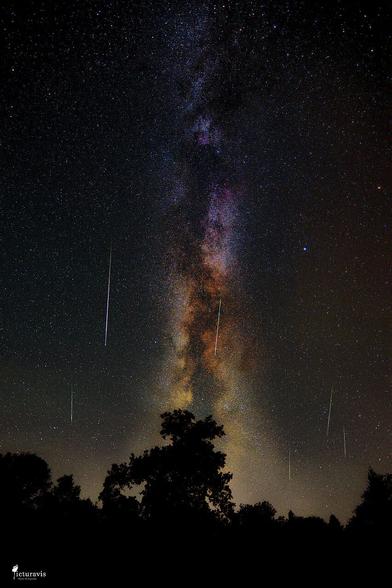 A vertical photograph of the Milky Way rising straight out of the silhouette of a tree. The silhouettes of few more trees are visible at the bottom of the image. Six greenish meteorite streaks are visible parallel to the Milky Way. The Milky Way is glowing purple at the top, orange in the middle and yellow at the bottom.