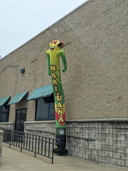 Wacky Inflatable Marijuana Dude lol