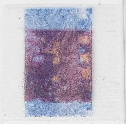 Two images printed in blue and red and overlapping on a decal and stuck to a microscope slide.  You can see some of the bubbles in the adhesion in this one.