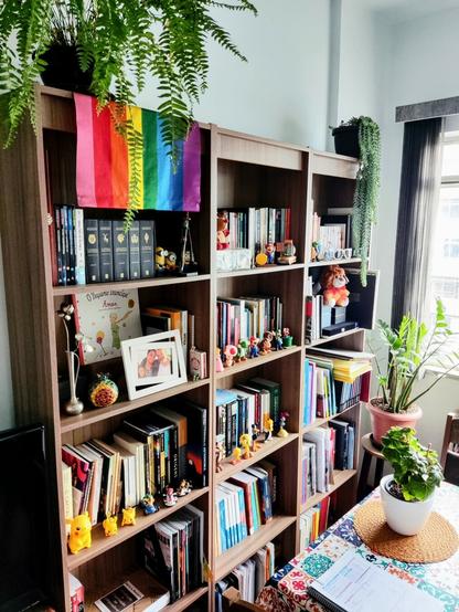 A wooden bookshelf in living room. In the picture has also a part of a table with plant vase. On the shelf has books, some plant vases too and miniatures of game characters, like Pokémon, Mario, Loney Toons.