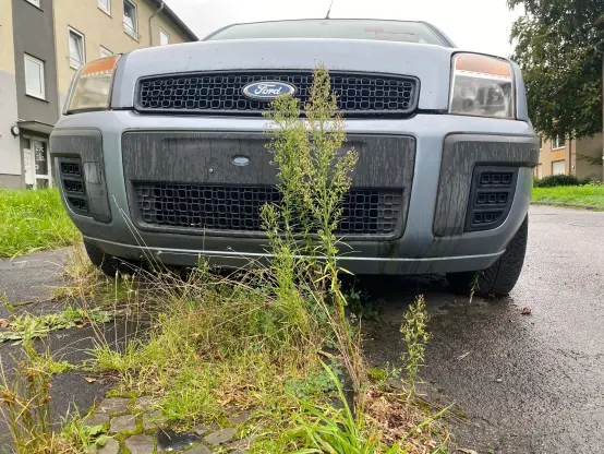 Ein auto umwachsen von Pflaster