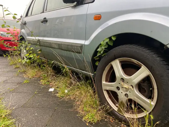 Ein Auto auf dem Gehweg umwachsend von jungen Bäumen
