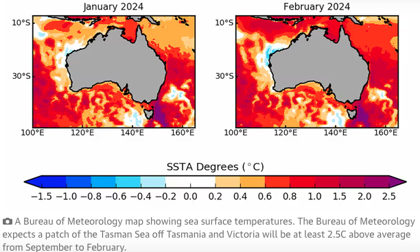 Australian Bureau of Meteorology map showing sea surface temperatures. The Bureau of Meteorology expects a patch of the Tasman Sea off Tasmania and Victoria will be at least 2.5C above average from September to February.