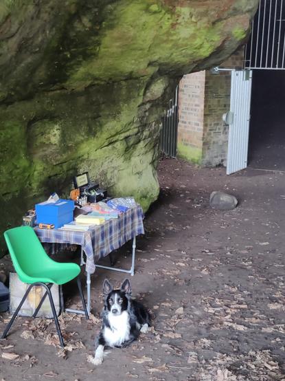 Entrance to a cave, with a small stall, a green chair, and a black and white dog lying in front.
