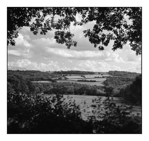 View of farm fields on a sunny August day, through a hedgerow.