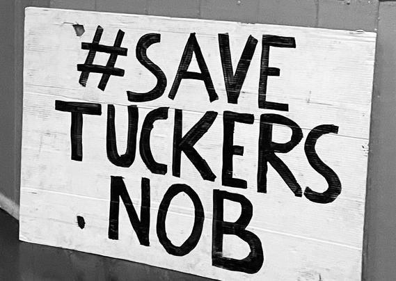 #SaveTuckersNob, Bellingen logging