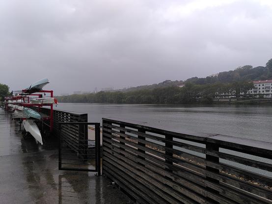 La Saône sous la pluie depuis le quai avec sur la gauche des avirons rangés sur leurs racks.