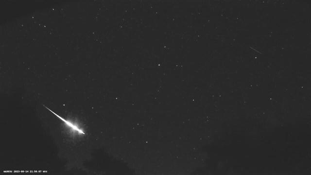 A bright Perseid meteor