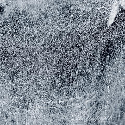 Macro shot of spider webs with dew on them.