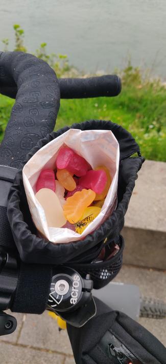 Food Pouch am Rennradlenker, darin Weingummi, eine Wespe ist sehr daran interessiert